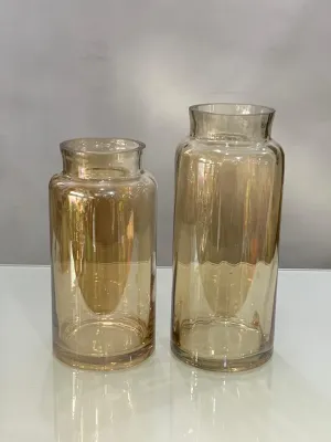 2 in 1 Clear cylindrical vase