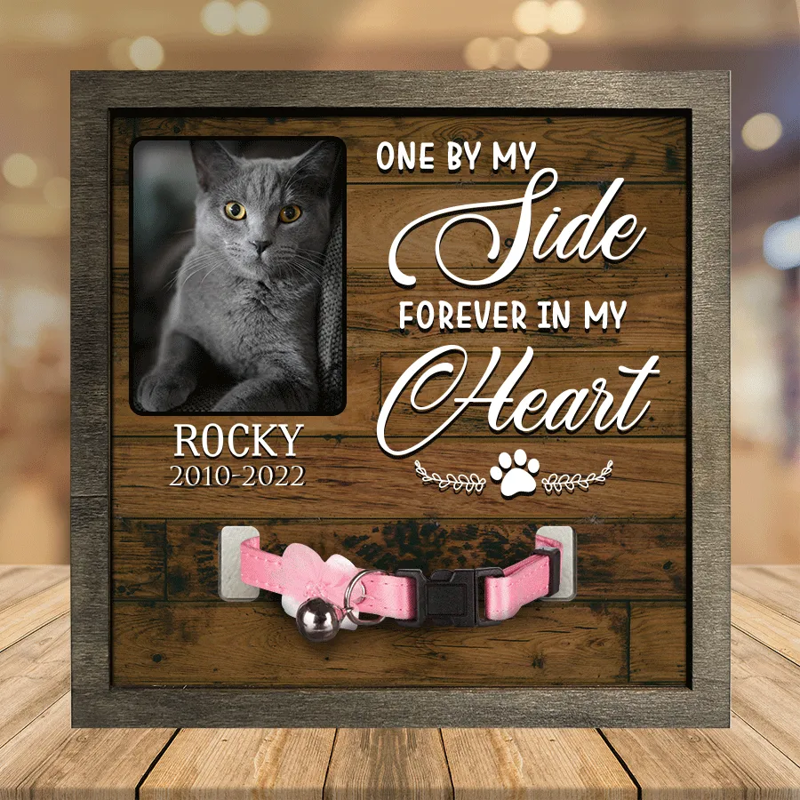 A British Shorthair Pet Picture Frames Memorial Cat you're my favorite Cat Lover Gift, Memorial Gifts