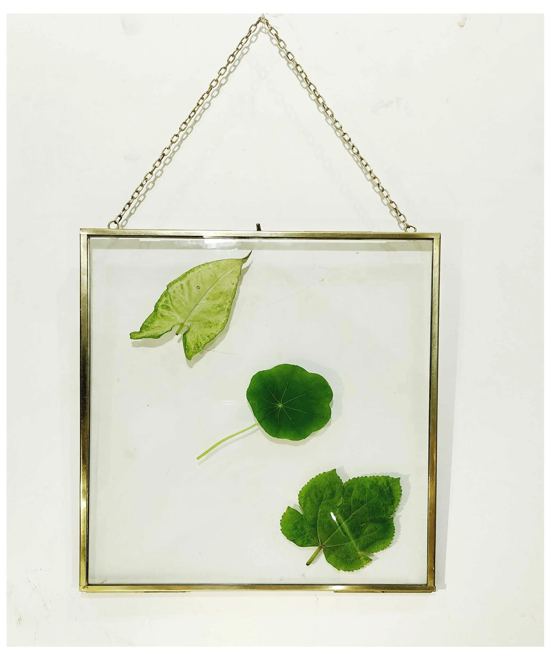 A.H Royal Decorative Brass & Glass Hanging Square Photo Frame with Pressed Glass (Size - 4x4 inch)