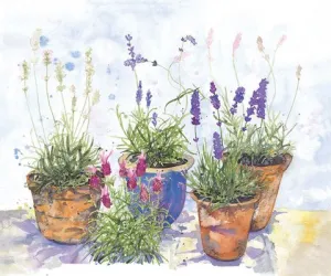 Alison Vickey artist "Lavender Garden" post card (Alison)