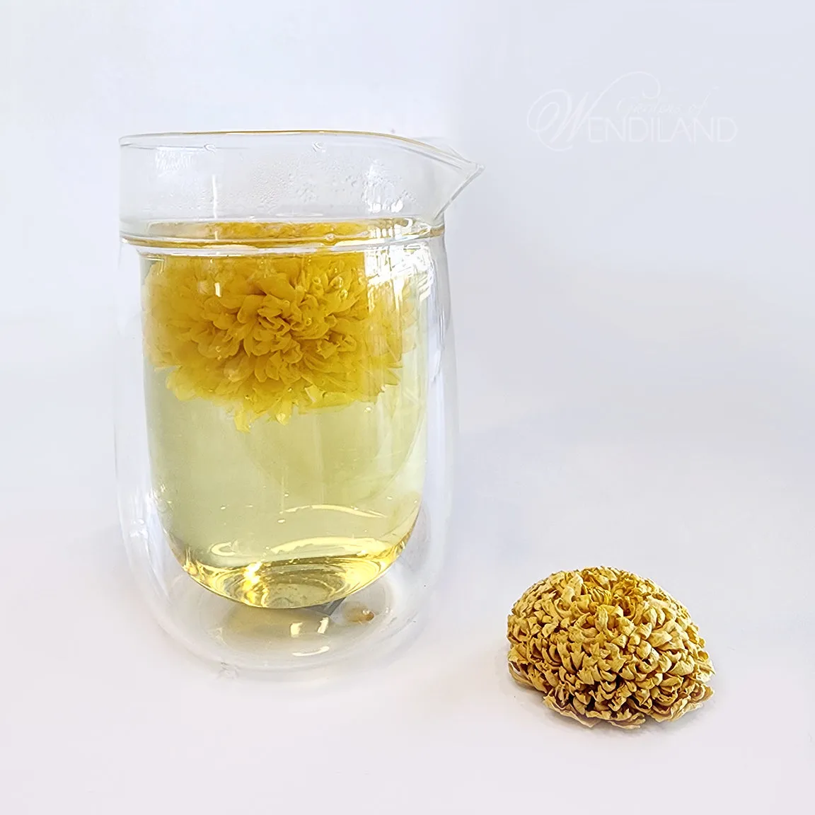 Chrysanthemum Tea