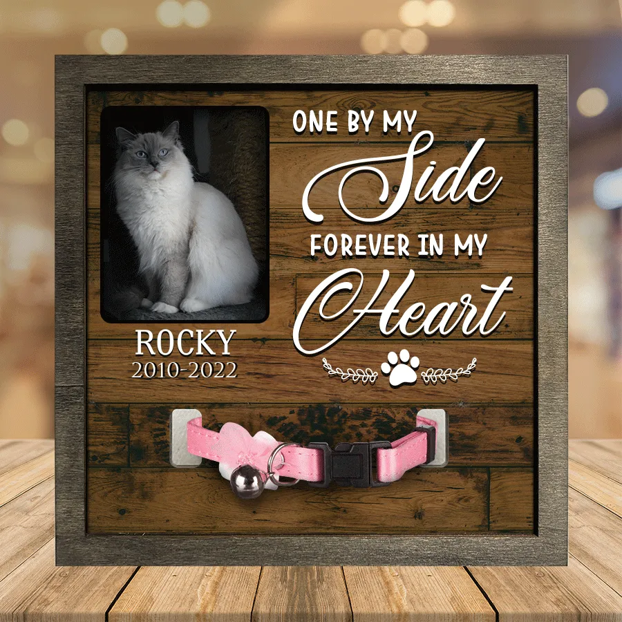 Customized A Ragdoll Cat Picture Frames Memorial Pet you were my favorite Hello, Pet Lover Gifts