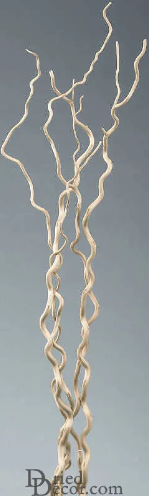 Decorative Kuwa Branches