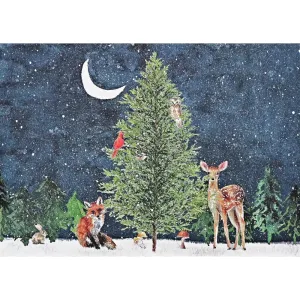 Peter Pauper Press Deluxe Holiday Boxed Cards 20pk - Moonlit Forest Friends