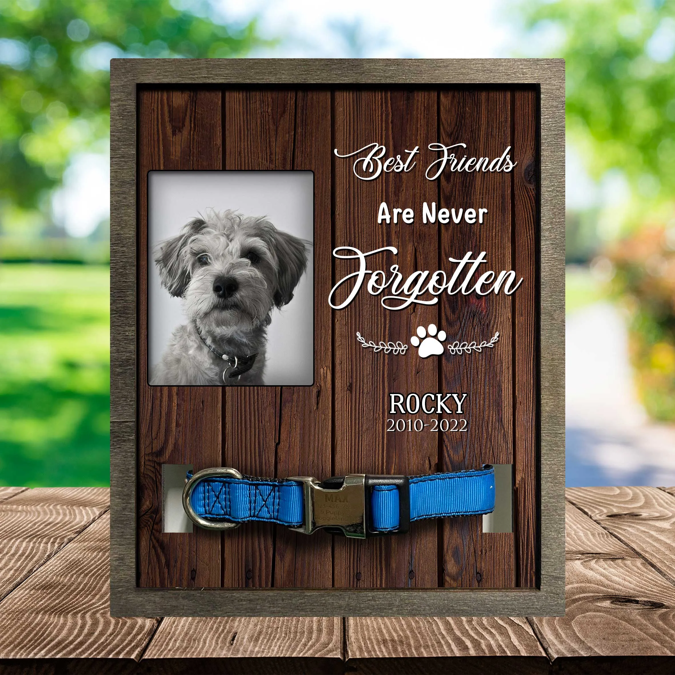 Picture Frame For Lost Of Schnauzer, Memorial Dog Frame Photo